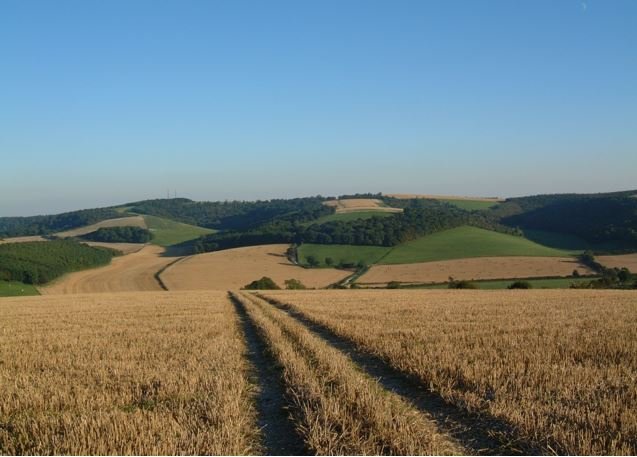 The South Downs After HARVEST